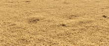 Close Up Particles Of Sand On A Sunny With No Depth Of Field Day 3d Illustration