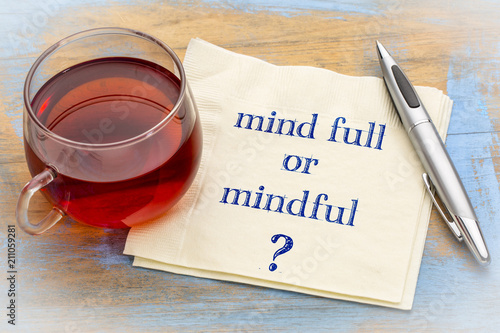 Fotomural Mind full or mindful question