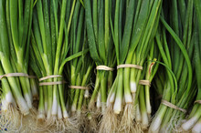 Fresh Green Onion
