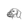 Dog with a muzzle hand drawn outline doodle icon. Pets in the city life and safety dog walking concept. Vector sketch illustration for print, web, mobile and infographics on white background.