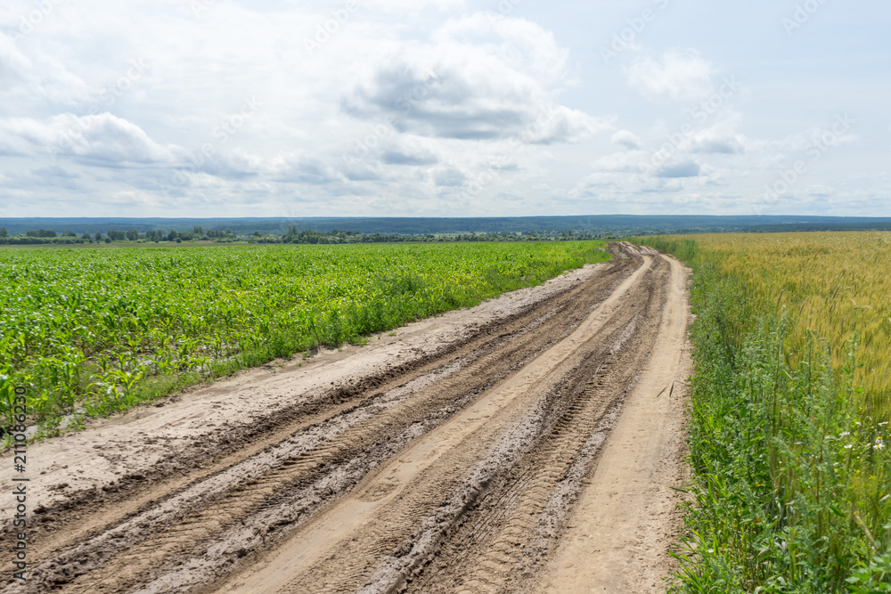 Vanishing dirt road with deep rut and puddles in meadow. Stock Photo ...