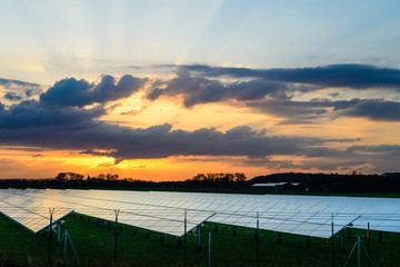 Wall Mural - solar panel at sunset, alternative electricity source