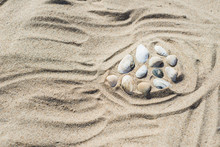 A Few Shells On The Sand
