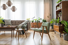 Real Photo Of A Chair Standing Next To The Tables And A Couch In A Retro Living Room Interior With A Bookcase In The Background And A Lot Of Plants