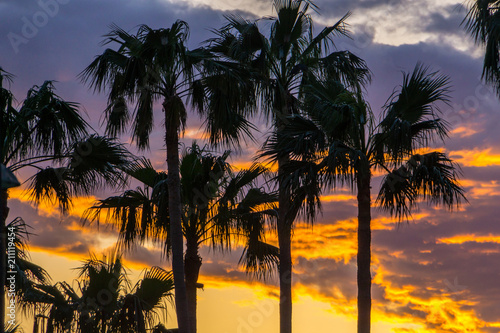 Fotografía Mallorca, Glowing orange sky over palm trees in paradise