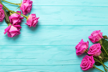 Border from pink  roses  flowers on teal  color wooden background. Floral mock up. View from above. Place for text.