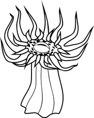 Wall Mural - Sea anemone with sharp tentacles  coloring page