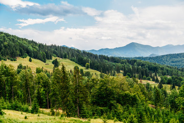 Wall Mural - Beautiful Carpathian Mountains Summer Landscape In Romania