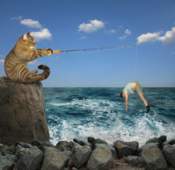 The cat is fishing on the stones in the sea.