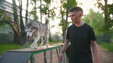 Cute Dog Husky Running On Overpass With Host On Playground Outdoors