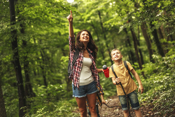 Wall Mural - mother and her little sons hiking trough forest .watching birds.
