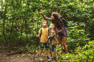 Wall Mural - mother and her little sons hiking trough forest .watching birds.