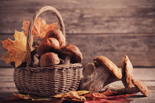 Mushrooms In Basket On Wooden Background