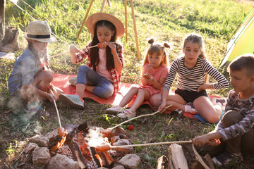 Wall Mural - little children frying sausages on bonfire. summer camp