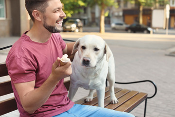 Poster - Owner treating his yellow labrador retriever with ice-cream outdoors