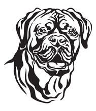 Decorative Portrait Of Dog Dogue De Bordeaux Vector Illustration