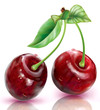 Two Cherry on a white background