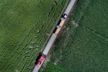 Poster - Top view of tractor and combine harvester on rural road