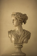 © Diane Diederich - Bust of Artemis