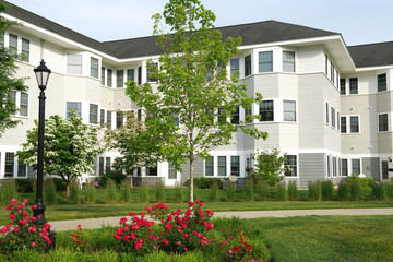 Poster - apartment buildings exterior with spring tree and flower