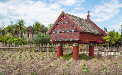 Wall Mural - Te Parapara the traditional Maori garden in Hamilton gardens an iconic garden in Hamilton, New Zealand.