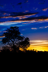 sunset in the Brazilian cerrado