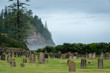 Misty and ancient graveyard, Norfolk Island Australia