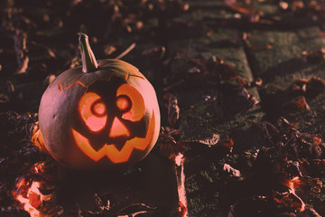 Wall Mural - Halloween pumpkins at wood background. Carved scary faces of pumpkin.