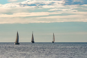 Poster - Sailboats traveling by Baltic sea