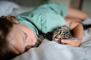 Female child sleeping with her cat