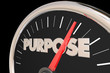 Purpose Mission Goal Reason Speedometer 3d Illustration