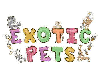 Wall Mural - Exotic Pets Lettering Illustration