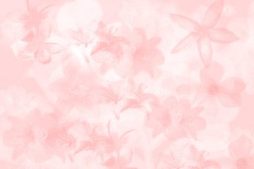 Light pink watercolor background