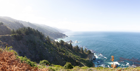 Wall Mural - Big Sur