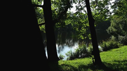 Wall Mural - Tracking Shot of Beautiful pond in a city park UHD 4K