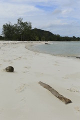 Canvas Print - plage paradisiaque de sable blanc