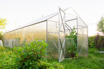 Polycarbonate greenhouse in the garden. View from the outside.