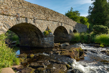 Wall Mural - Dartmoor, Devon, England