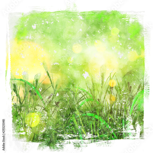 Naklejka na meble Tło zielonej trawy - akwarela
