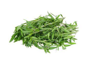 Wall Mural - french tarragon isolated on white background