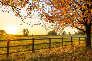 sunset in autumn in england