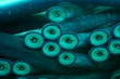 Sucker  mouths of lamprey eels