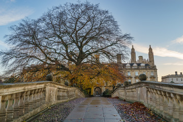 Sticker - Path leading to Clare's college viewed in autumn