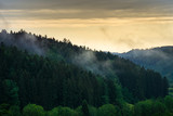 Fototapeta Las - Black forest nature landscape in foggy sunset