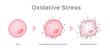 Oxidative Stress cell vector / free radical