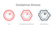 Oxidative Stress cell vector / free radical