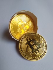 two pieces Bitcoin out from broken chicken egg shell