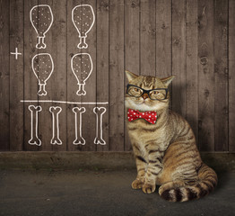 The smart cat in glasses and a bow tie writes a mathematical equation on the wooden fence.