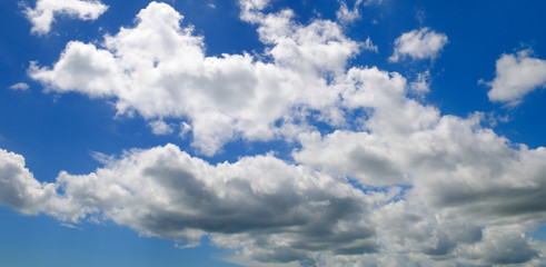 Cumulus clouds in the blue sky. Wide photo.