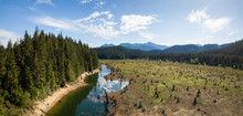 Aerial Drone Landscape View Of The Beautiful Canadian Nature During A Vibrant Sunny Morning. Taken In Stave Lake, East Of Vancouver, BC, Canada.